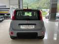 Fiat Panda 1.0 firefly hybrid City Life Prezzo promo Finanz. Gris - thumbnail 5