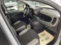 Fiat Panda 1.0 firefly hybrid City Life Prezzo promo Finanz. Gris - thumbnail 9