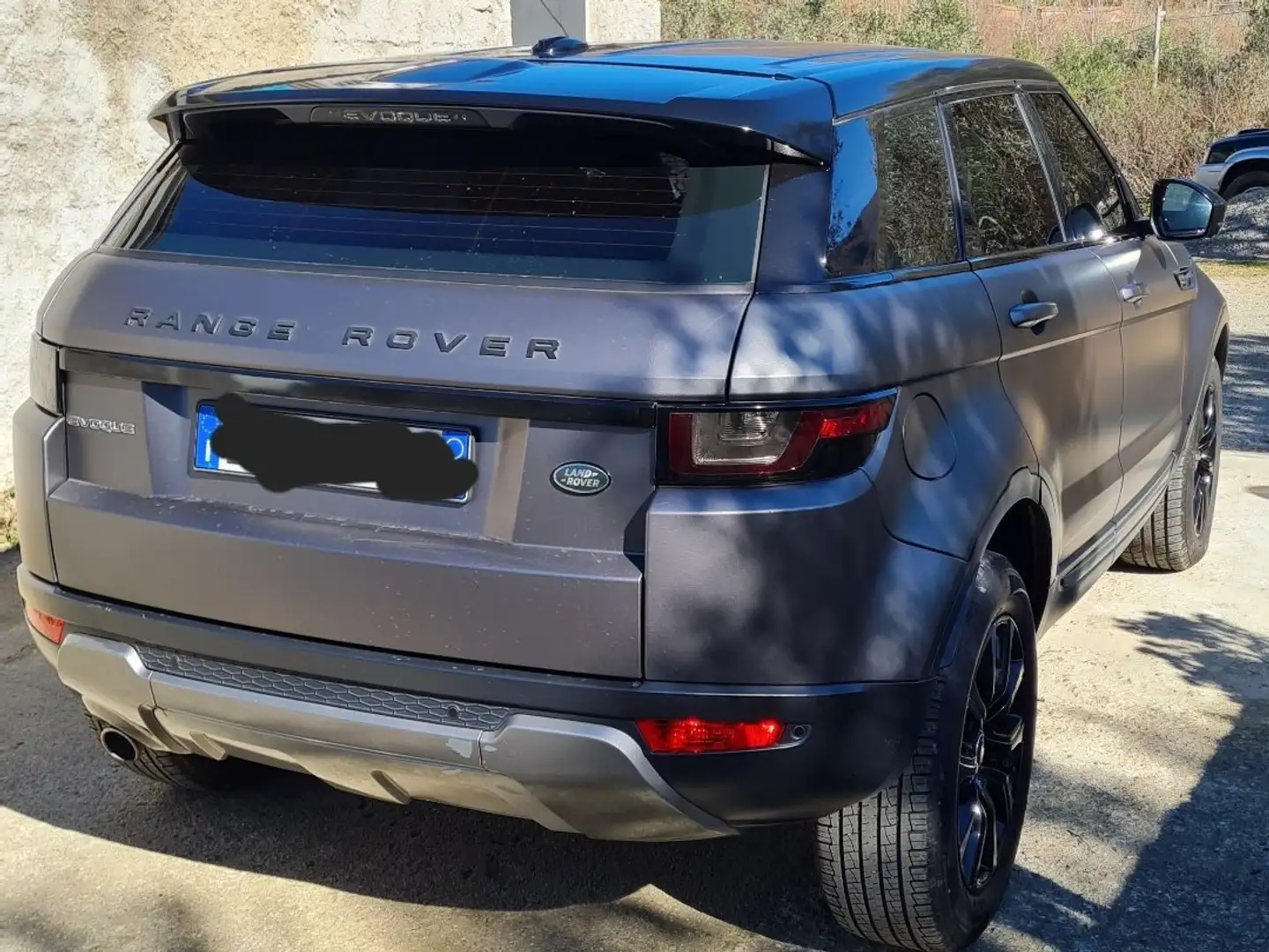 Rover Rover dinamic Blue - 2
