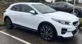 Kia XCeed Xceed 1,4 TGDI Gold Weiß - thumbnail 1