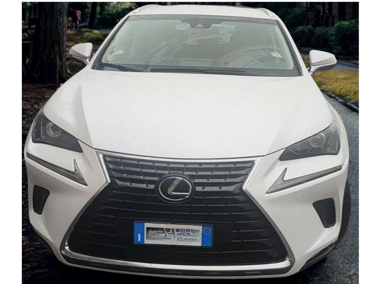 Lexus NX 300h NX 300h 2.5 Business 4wd cvt pack executive+treno gomme estivo