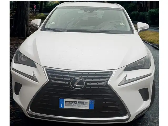 Lexus NX 300h NX I 2018 300h 2.5 Business 4wd cvt pack executive