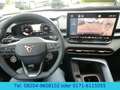 CUPRA Terramar 1.5 eTSI "Dynamic"/ACC/19"/HeadUp Blauw - thumbnail 17