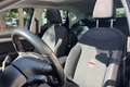 SEAT Ibiza Ibiza 1.6 TDI 115 CV 5 porte FR Bleu - thumbnail 11