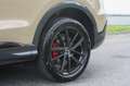 Audi Q5 40 TDI SLINE.PANORAMA.PASS.DISPLAY.MATRIX Gold - thumbnail 8