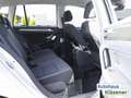 Volkswagen Golf Sportsvan Sportsvan 1.5DSG 110kW NAVI ACC BSD ANDROID APPLE Silber - thumbnail 12