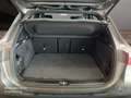 Mercedes-Benz EQA 350 4M PROG+ADVANCED+360+SPUR Gris - thumbnail 20