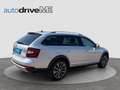 Skoda Octavia Combi 4x4 Silber - thumbnail 5