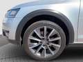 Skoda Octavia Combi 4x4 Silber - thumbnail 17