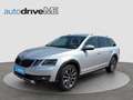 Skoda Octavia Combi 4x4 Silber - thumbnail 1