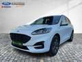 Ford Kuga FHEV ST-Line Allrad Autom. Navi Kamera Blanc - thumbnail 27