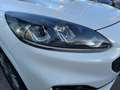 Ford Kuga FHEV ST-Line Allrad Autom. Navi Kamera Blanc - thumbnail 24