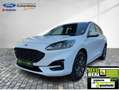 Ford Kuga FHEV ST-Line Allrad Autom. Navi Kamera Blanc - thumbnail 2