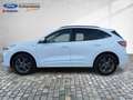 Ford Kuga FHEV ST-Line Allrad Autom. Navi Kamera Blanc - thumbnail 10