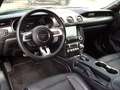 Ford Mustang 5.0 Ti-VCT V8 GT Auto Gris - thumbnail 11