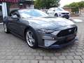 Ford Mustang 5.0 Ti-VCT V8 GT Auto Gris - thumbnail 4