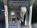 Lexus NX 300 NX 300h Hybrid 4WD Icon Grau - thumbnail 14