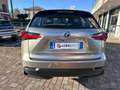 Lexus NX 300 NX 300h Hybrid 4WD Icon Grau - thumbnail 12