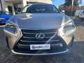 Lexus NX 300 NX 300h Hybrid 4WD Icon Grau - thumbnail 15