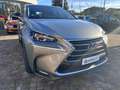 Lexus NX 300 NX 300h Hybrid 4WD Icon Grau - thumbnail 8