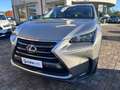 Lexus NX 300 NX 300h Hybrid 4WD Icon Grau - thumbnail 9