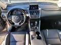 Lexus NX 300 NX 300h Hybrid 4WD Icon Grau - thumbnail 5