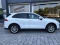 Porsche Cayenne Diesel Aut. Blanco - thumbnail 24
