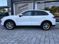 Porsche Cayenne Diesel Aut. Blanco - thumbnail 9