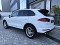 Porsche Cayenne Diesel Aut. Blanco - thumbnail 10