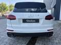 Porsche Cayenne Diesel Aut. Blanco - thumbnail 11