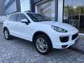 Porsche Cayenne Diesel Aut. Blanco - thumbnail 25