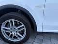 Porsche Cayenne Diesel Aut. Blanco - thumbnail 8