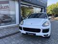 Porsche Cayenne Diesel Aut. Blanco - thumbnail 4