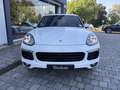 Porsche Cayenne Diesel Aut. Blanco - thumbnail 5