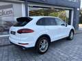 Porsche Cayenne Diesel Aut. Blanco - thumbnail 22