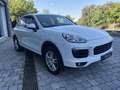 Porsche Cayenne Diesel Aut. Blanco - thumbnail 6