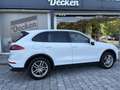 Porsche Cayenne Diesel Aut. Blanco - thumbnail 23