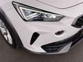 CUPRA Formentor 1.4 eHybrid PHEV 150/204 Aut LED RADAR Weiß - thumbnail 12