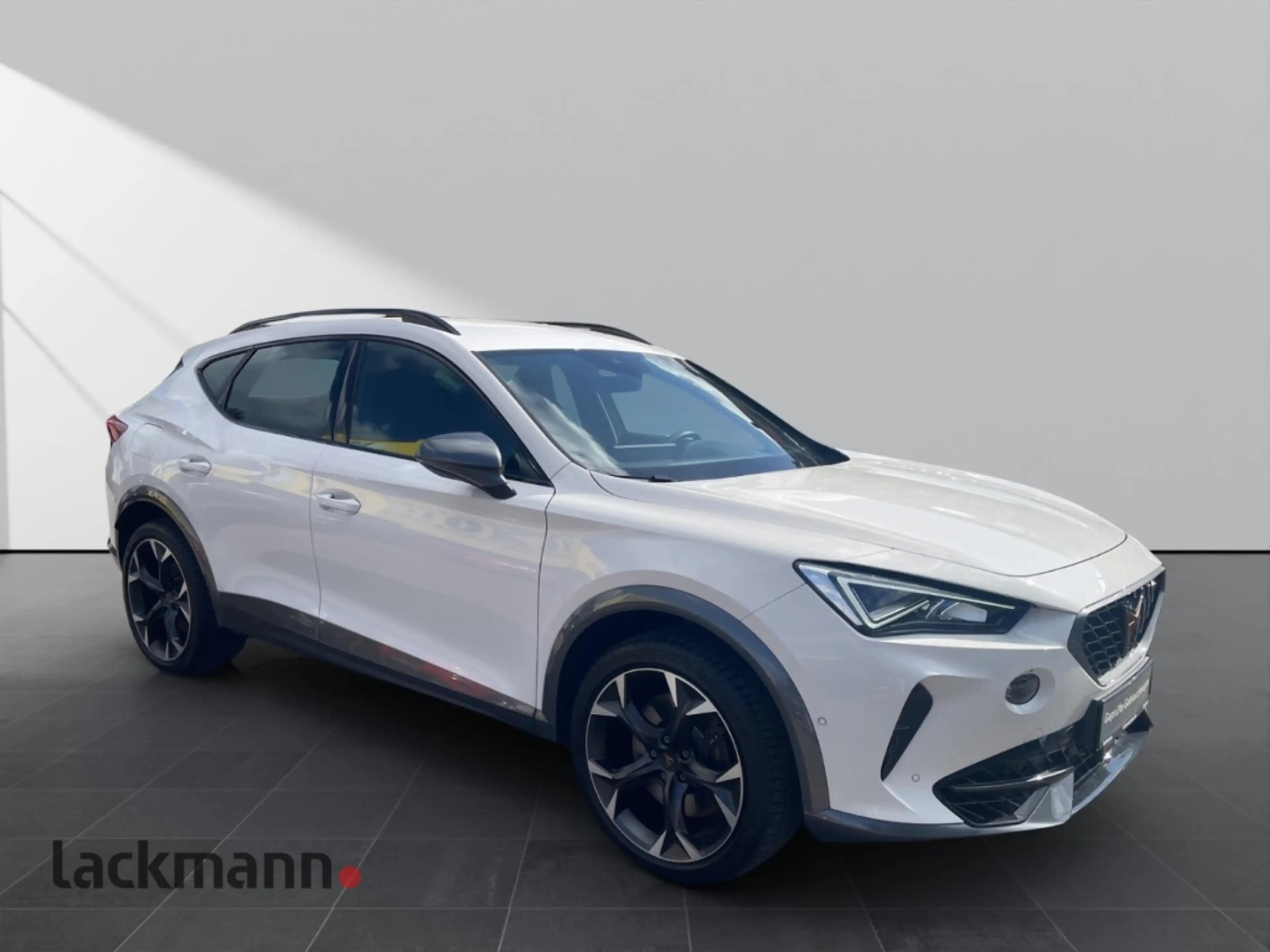 CUPRA Formentor 2.0 VZ*Navi*LED*Winter*Kamera*Keyless* — photo 4