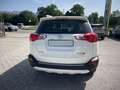 Toyota RAV 4 RAV4 2.0 D-4D 4WD Lounge White Ed. - thumbnail 5