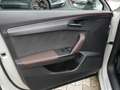 CUPRA Formentor 2.5 TSI VZ5 Taiga 4Drive ACC 360° Grau - thumbnail 20