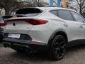 CUPRA Formentor 2.5 TSI VZ5 Taiga 4Drive ACC 360° Grau - thumbnail 24