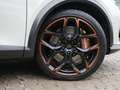 CUPRA Formentor 2.5 TSI VZ5 Taiga 4Drive ACC 360° Grau - thumbnail 5