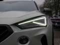 CUPRA Formentor 2.5 TSI VZ5 Taiga 4Drive ACC 360° Grau - thumbnail 26