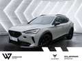 CUPRA Formentor 2.5 TSI VZ5 Taiga 4Drive ACC 360° Grau - thumbnail 1