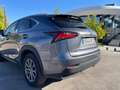 Lexus NX 300 300h Business 2WD Gris - thumbnail 9