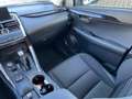 Lexus NX 300 300h Business 2WD Gris - thumbnail 21