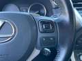 Lexus NX 300 300h Business 2WD Gris - thumbnail 30