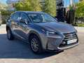 Lexus NX 300 300h Business 2WD Gris - thumbnail 10
