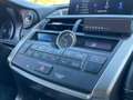Lexus NX 300 300h Business 2WD Gris - thumbnail 23